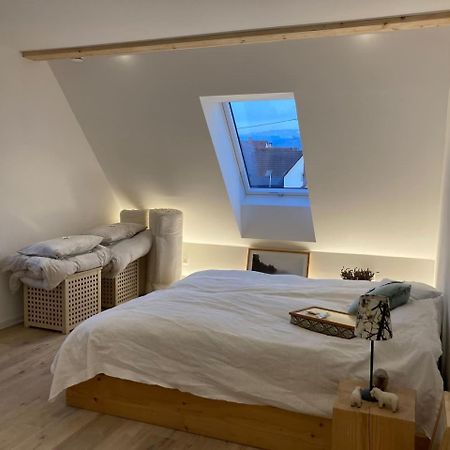Neues Penthouse-Loft Mit Konuskarte Fuer Gratis Oepnv Apartment Ehrenkirchen Екстериор снимка