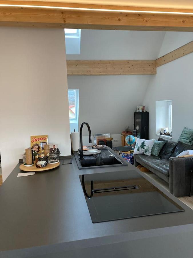 Neues Penthouse-Loft Mit Konuskarte Fuer Gratis Oepnv Apartment Ehrenkirchen Екстериор снимка