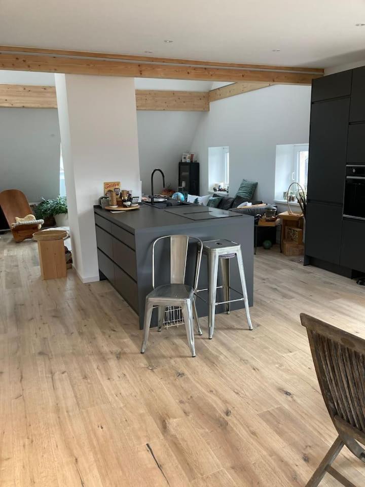Neues Penthouse-Loft Mit Konuskarte Fuer Gratis Oepnv Apartment Ehrenkirchen Екстериор снимка