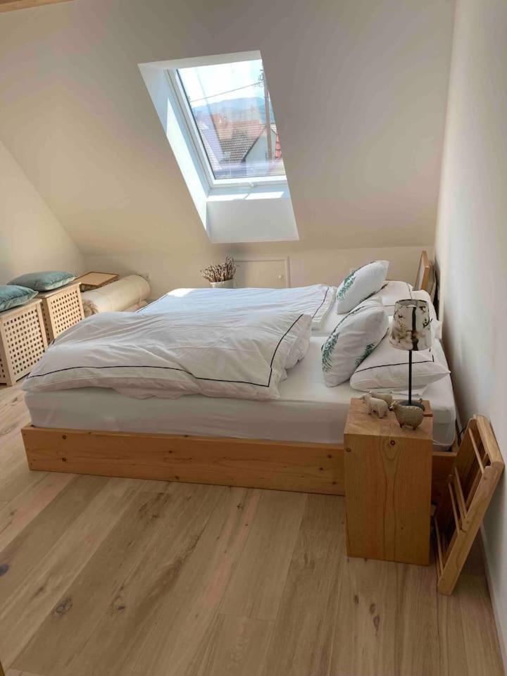 Neues Penthouse-Loft Mit Konuskarte Fuer Gratis Oepnv Apartment Ehrenkirchen Екстериор снимка